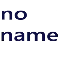 no name for womane bags