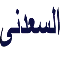 السعدنى سنتر 