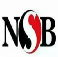 بنك ناصر الاجتماعى