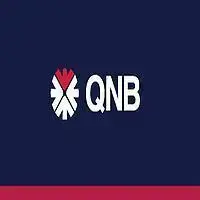  كيو ان بى الاهلى