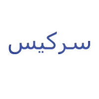 سركيس للنقل السياحي والرحلات 